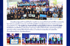 News Templates - 5